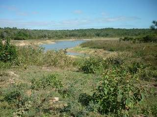 Picture Name