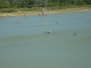 Picture Name
