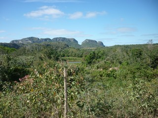 Picture Name