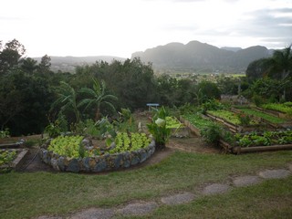 Picture Name