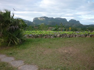 Picture Name