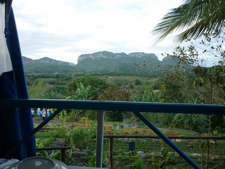 Picture Name