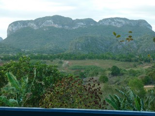 Picture Name
