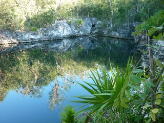 Picture Name