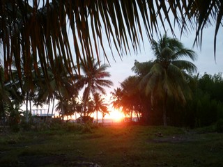 Picture Name