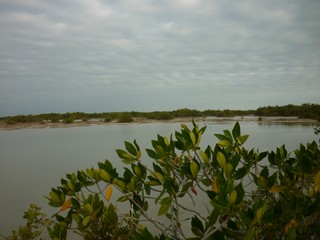 Picture Name