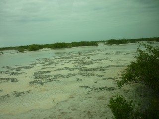 Picture Name