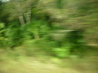 Picture Name