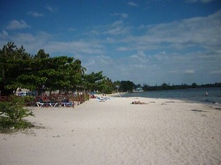 Picture Name