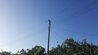 Picture Name