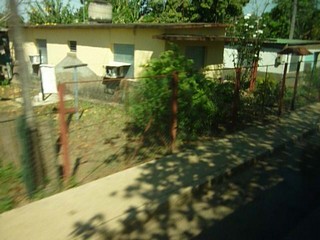 Picture Name