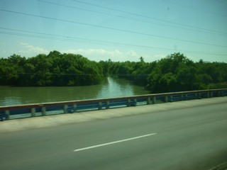 Picture Name
