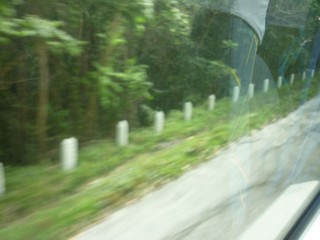 Picture Name