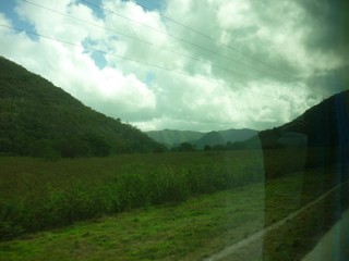 Picture Name