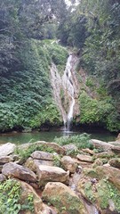 Picture Name
