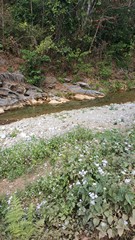 Picture Name