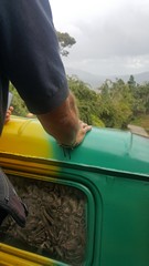 Picture Name