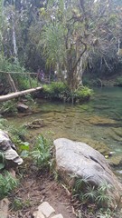 Picture Name