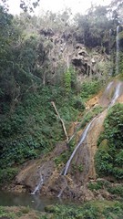 Picture Name