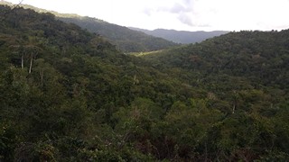 Picture Name