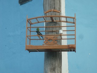 Picture Name