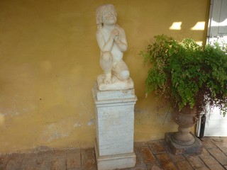 Picture Name