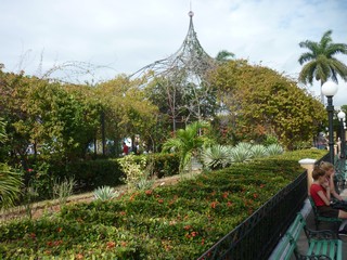 Picture Name