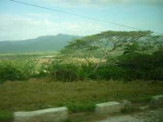 Picture Name