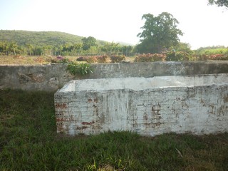 Picture Name