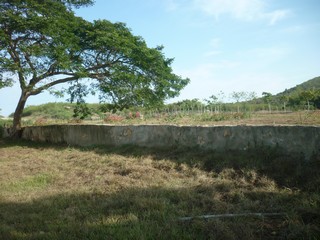 Picture Name