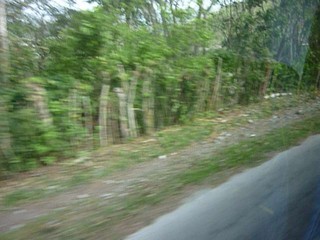 Picture Name