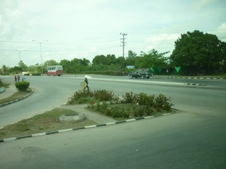 Picture Name