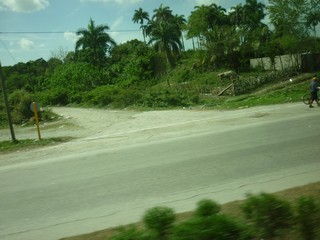 Picture Name