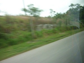 Picture Name