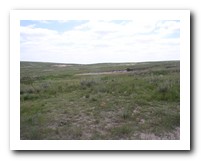 Picture Name