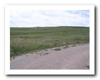 Picture Name