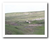 Picture Name