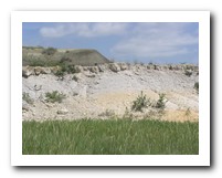 Picture Name
