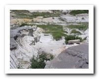 Picture Name