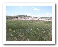 Picture Name