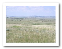 Picture Name