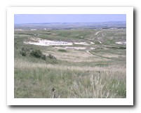 Picture Name