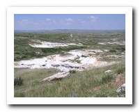 Picture Name