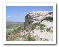 Picture Name