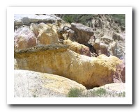Picture Name