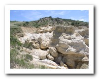Picture Name