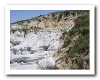 Picture Name