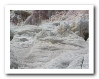 Picture Name
