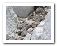 Picture Name