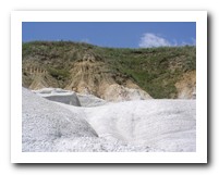 Picture Name